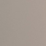 Metallic Beige Ultra Matte