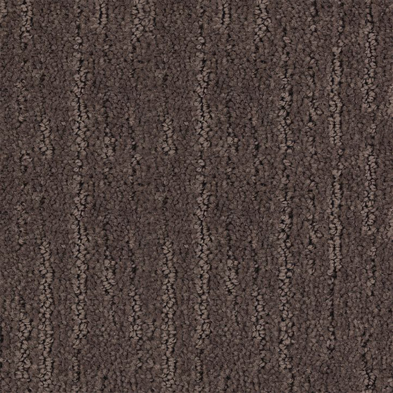 Eternal View Swiss Cocoa