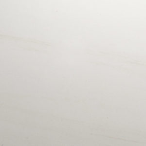 Universal 24 x 24 Bianco Laso Matte