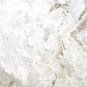 Daltile Mythique Marble 12 x 24 Matte Majestic
